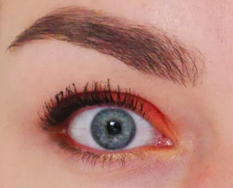 Ooglook_La_Petite_Maximalist.jpg Ooglook La Petite Maximalist